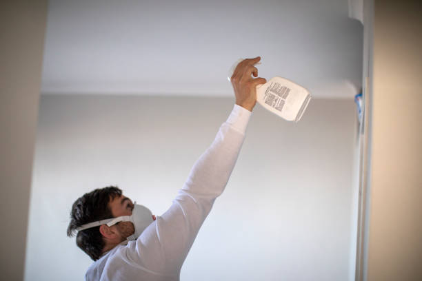Best Mold Damage Repair  in El Granada, CA
