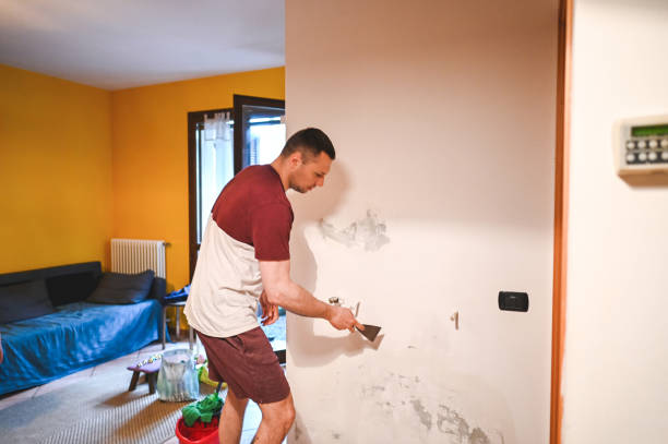 Best Affordable Mold Removal  in El Granada, CA